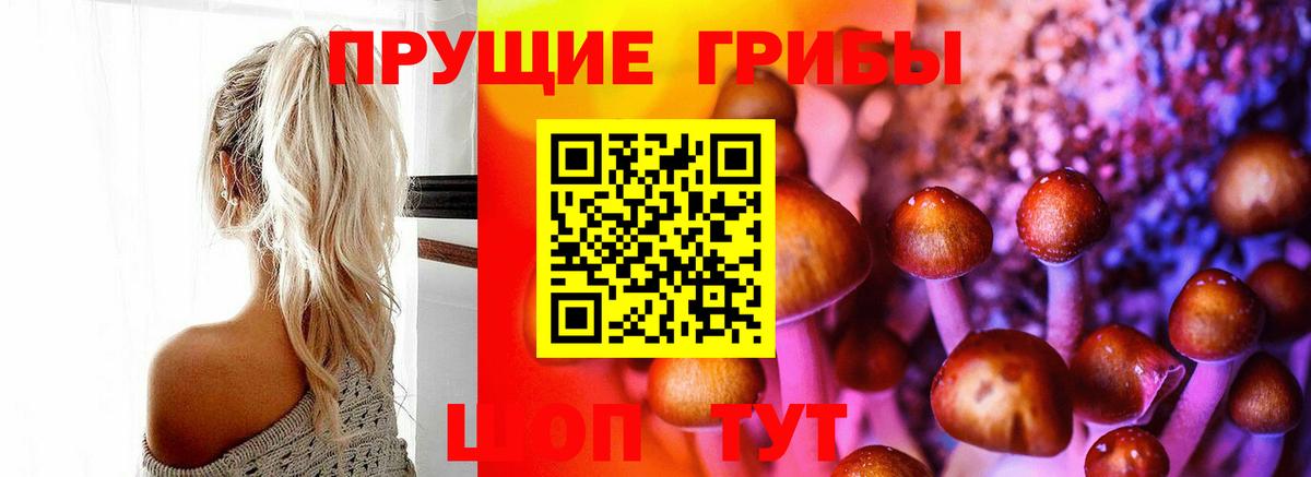 Галлюциногенные грибы Psilocybine cubensis Кирово-Чепецк